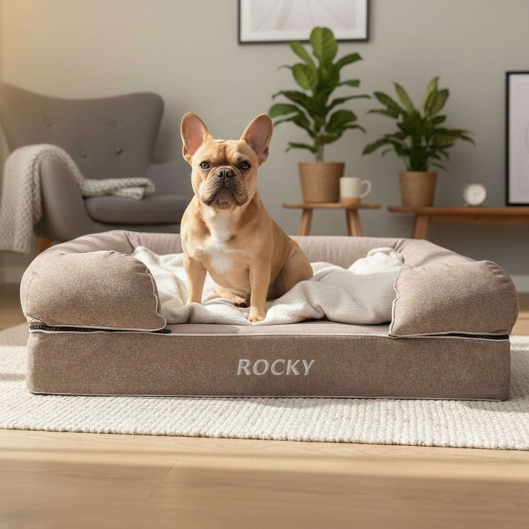 Viscoelastic bed for dogs