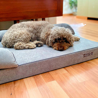 Perro rizado descansando sobre cama gris para perros