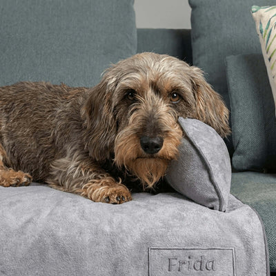 perro recostado sobre cama gris baluka con cojín