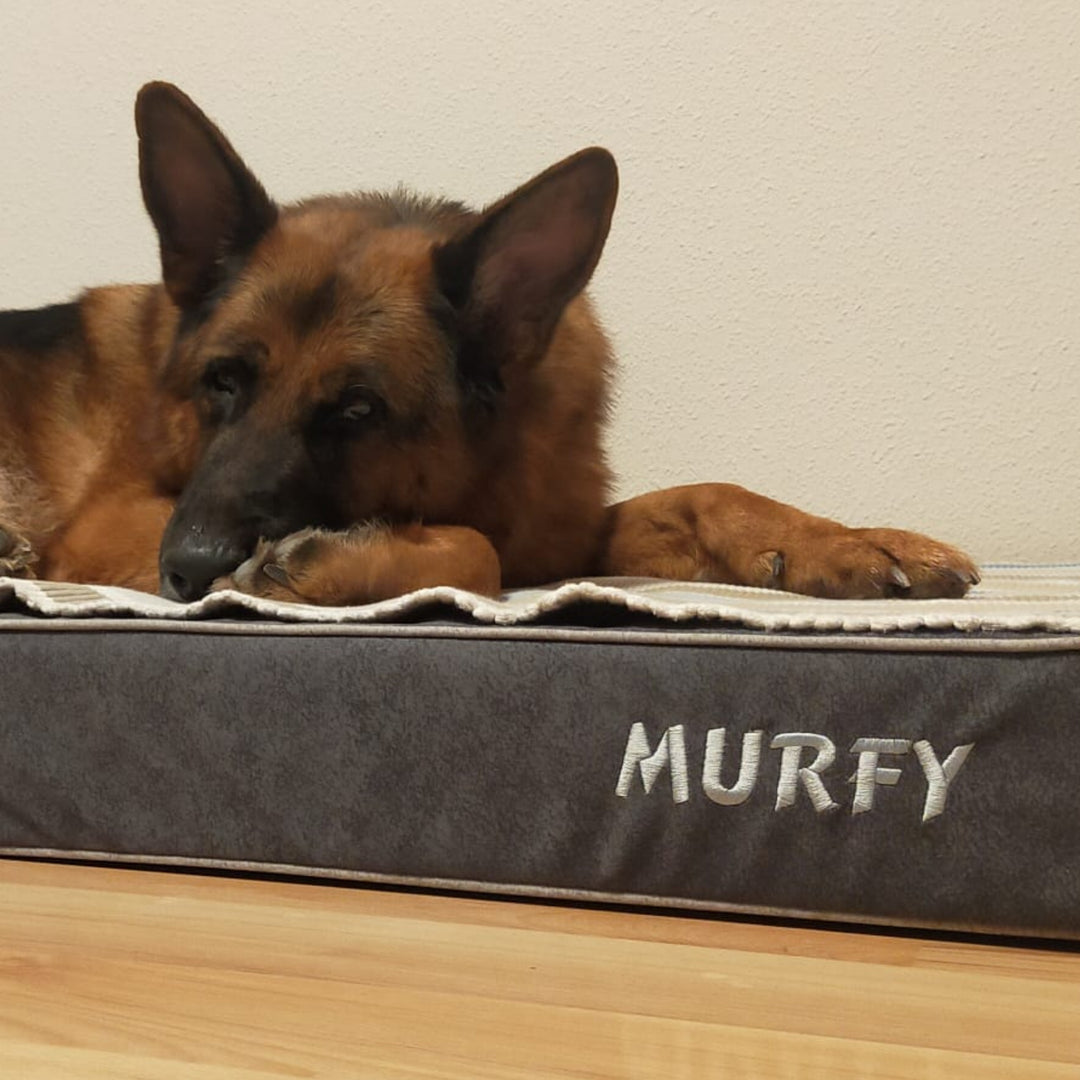 Memory foam dog bed