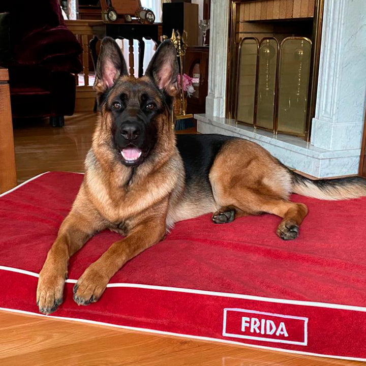 Memory foam dog bed