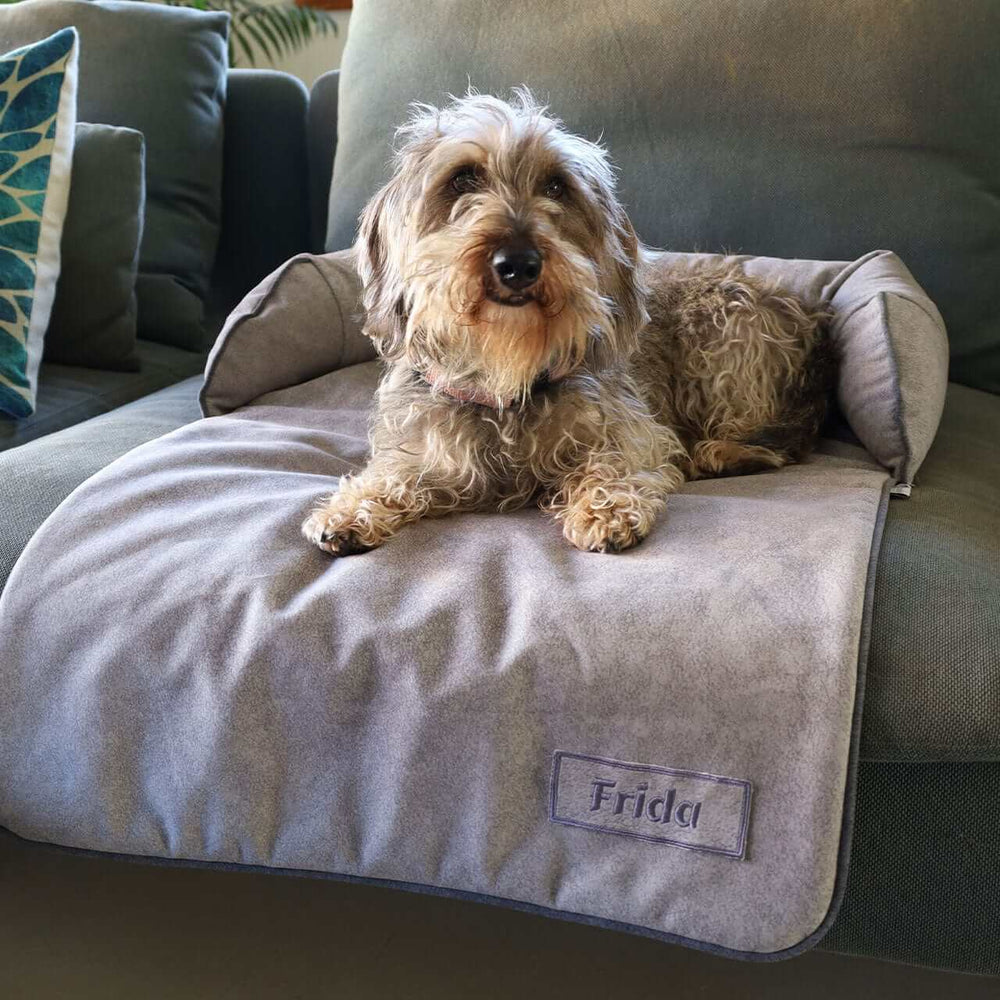 Protector de Sofá para Perros y Gatos baluka mascotas