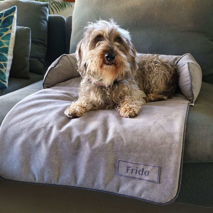 Protector de Sofá para Perros y Gatos baluka mascotas