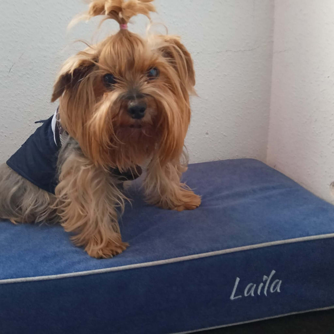 Cama viscoelástica para perros