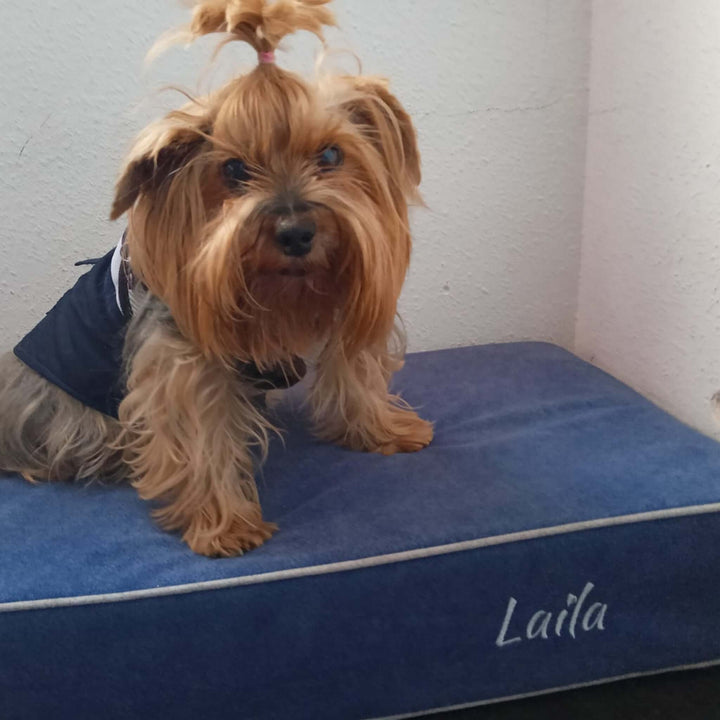 Cama viscoelástica para perros