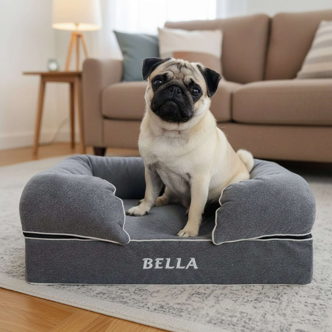 Viscoelastic bed for dogs