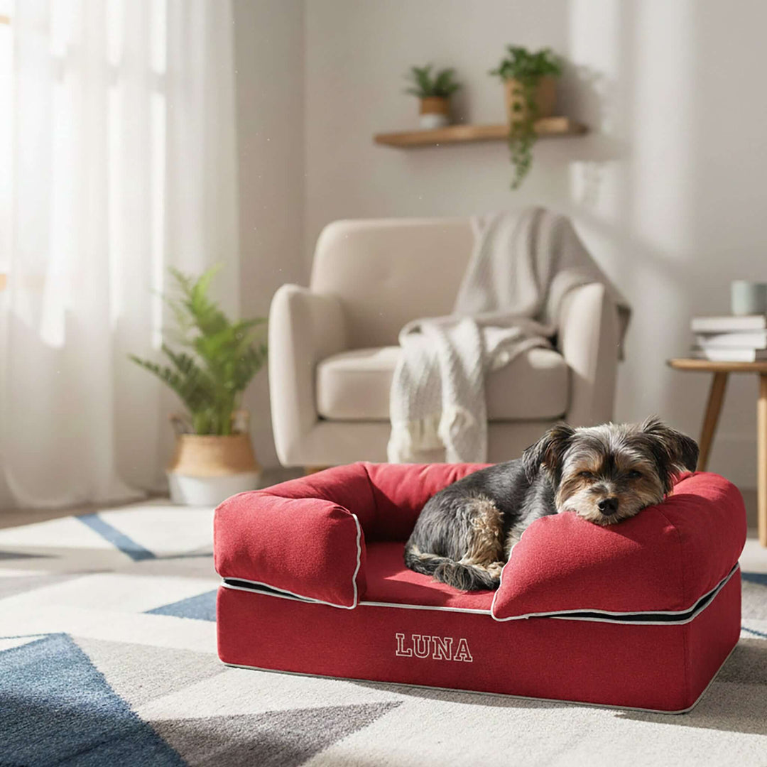 Viscoelastic bed for dogs