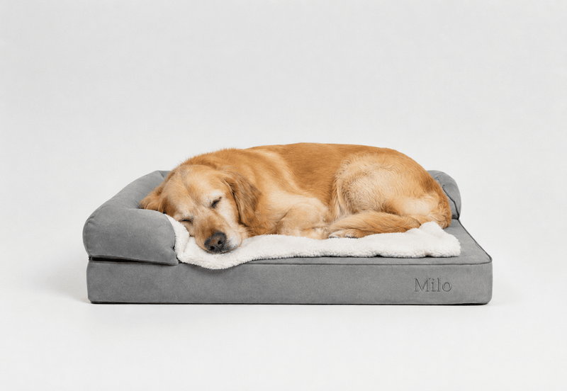 Perro durmiendo en una cama para perros, mostrando bienestar animal y descanso.