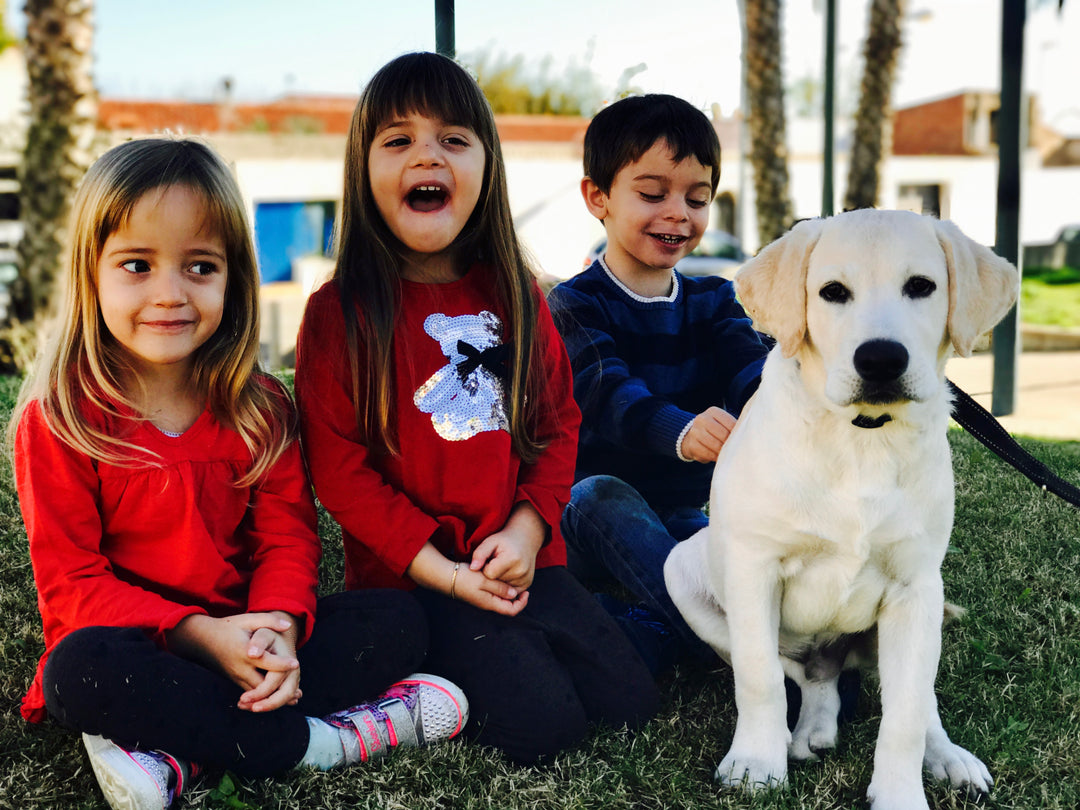 trillizos en el parque con perro labrador cachorro