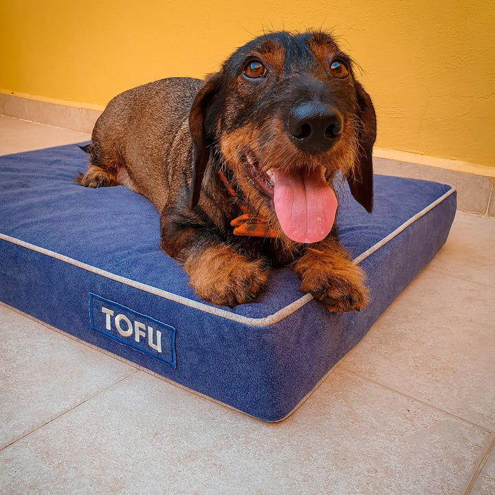Memory foam dog bed