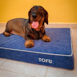 Cama viscoelástica para perros Baluka en color azul con perro salchicha Tofu