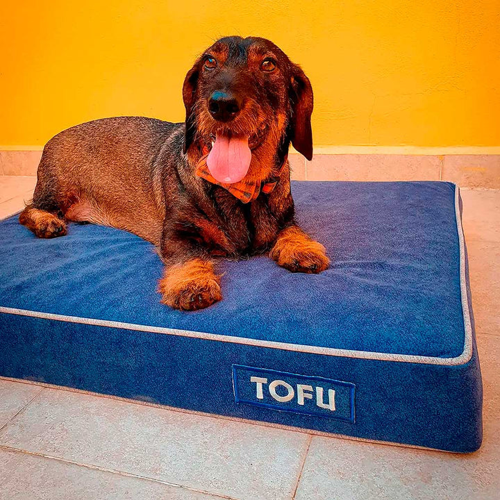 Cama viscoelástica para perro
