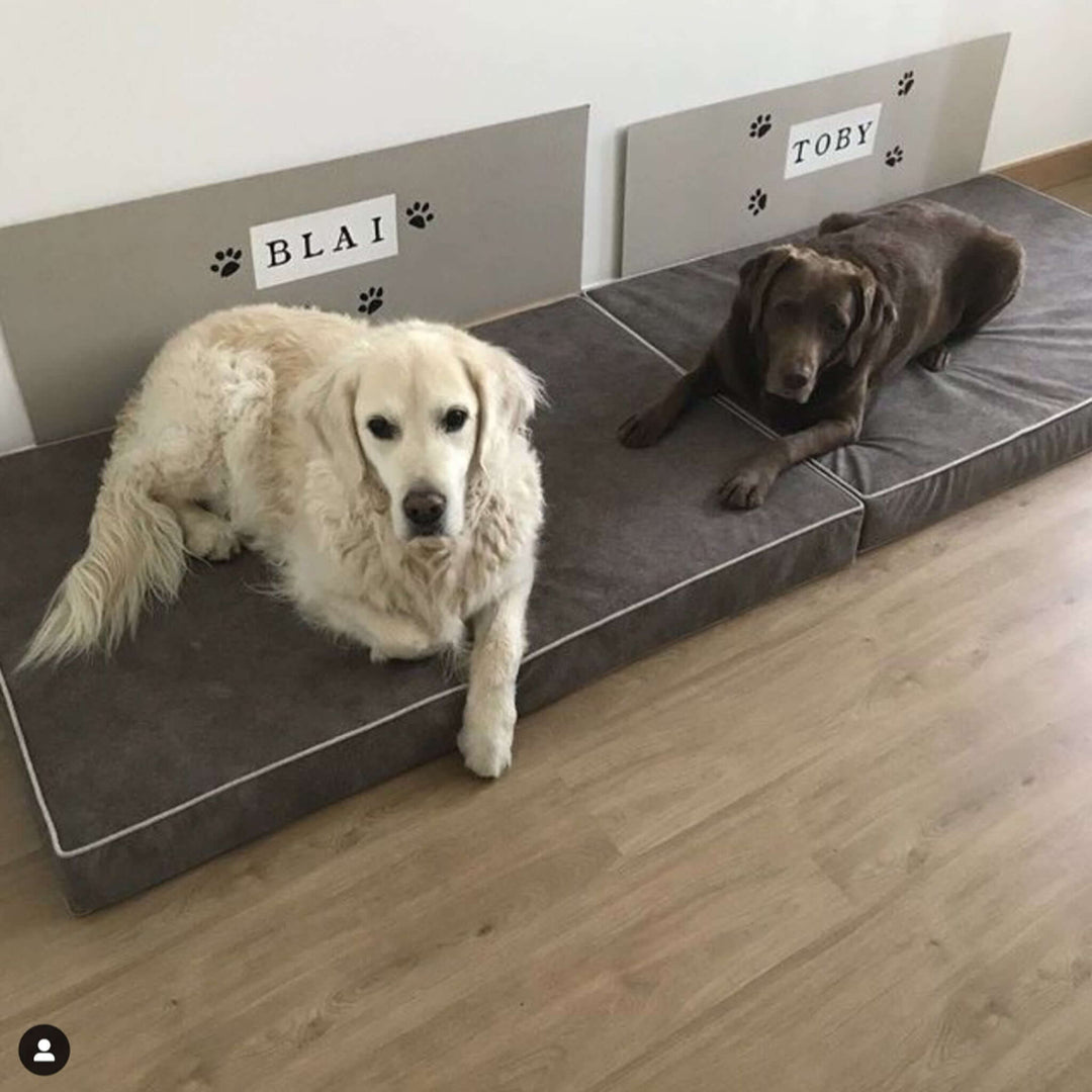 Cama viscoelástica para perros