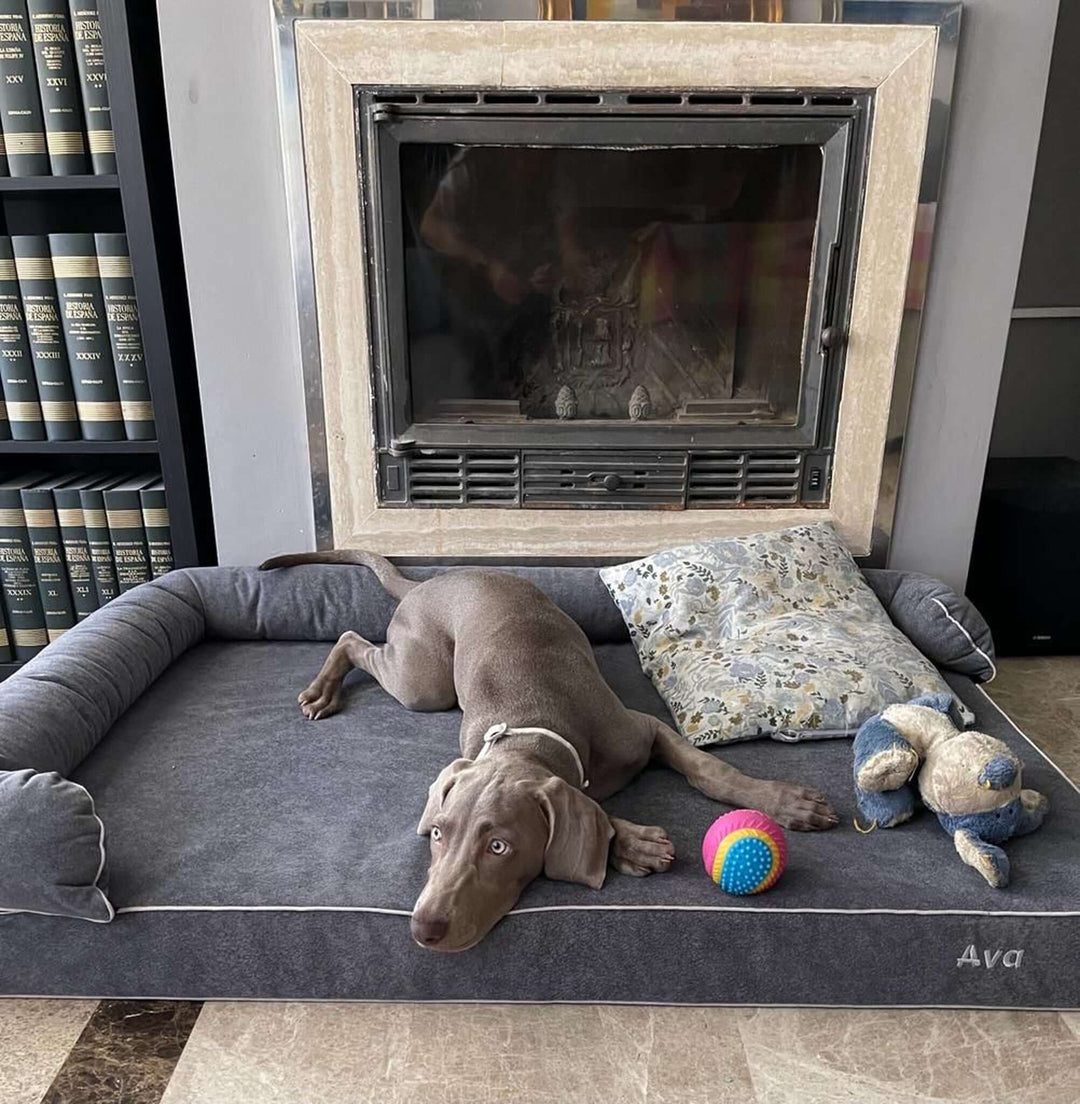 Cama viscoelástica para perros