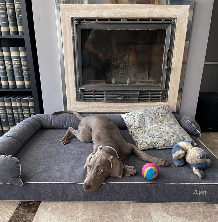 Cama viscoelástica para perros