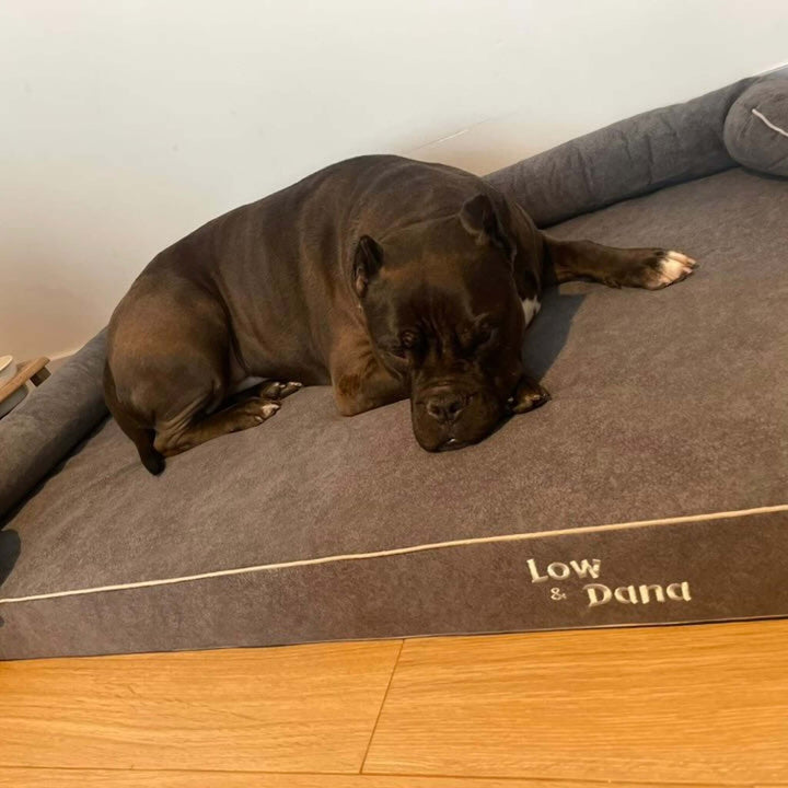 Cama viscoelástica para perros