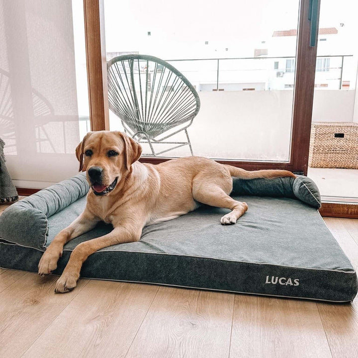 Cama viscoelástica para perros