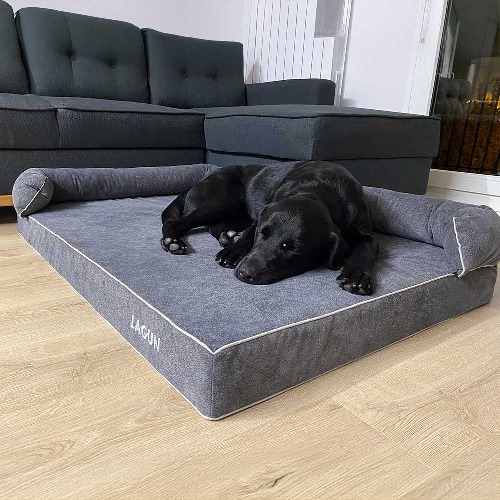 Cama viscoelástica para perro