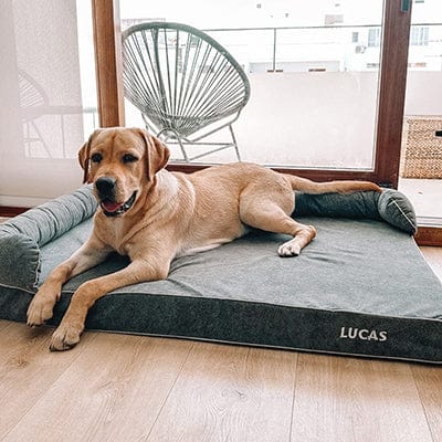 perro grande en cama viscoelástica para perros con su nombre bordado de baluka mascotas