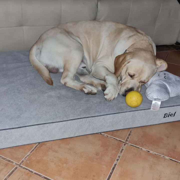 Cama viscoelástica para perros
