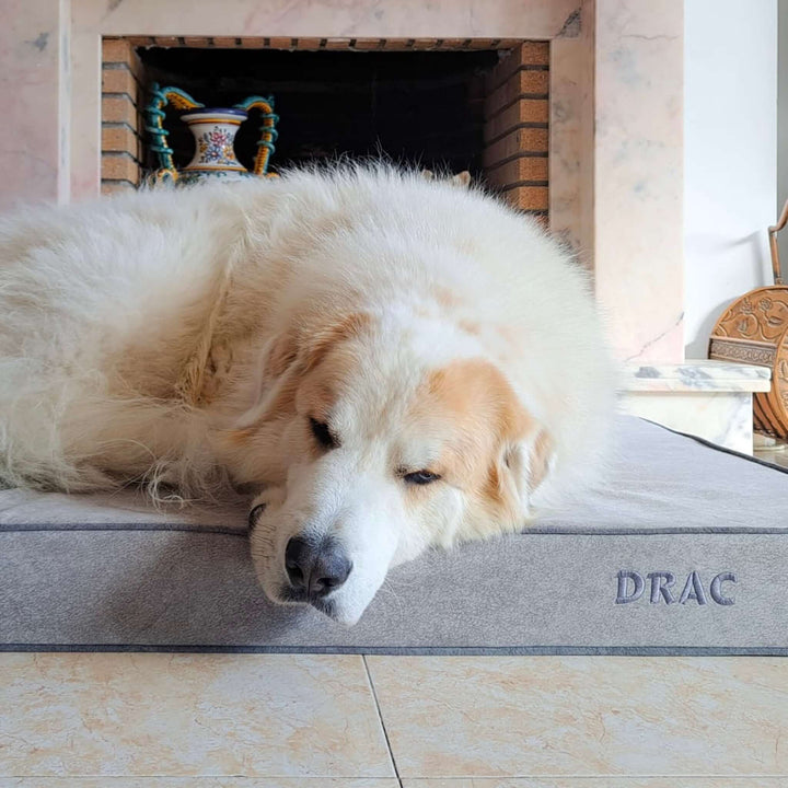 Cama viscoelástica para perros