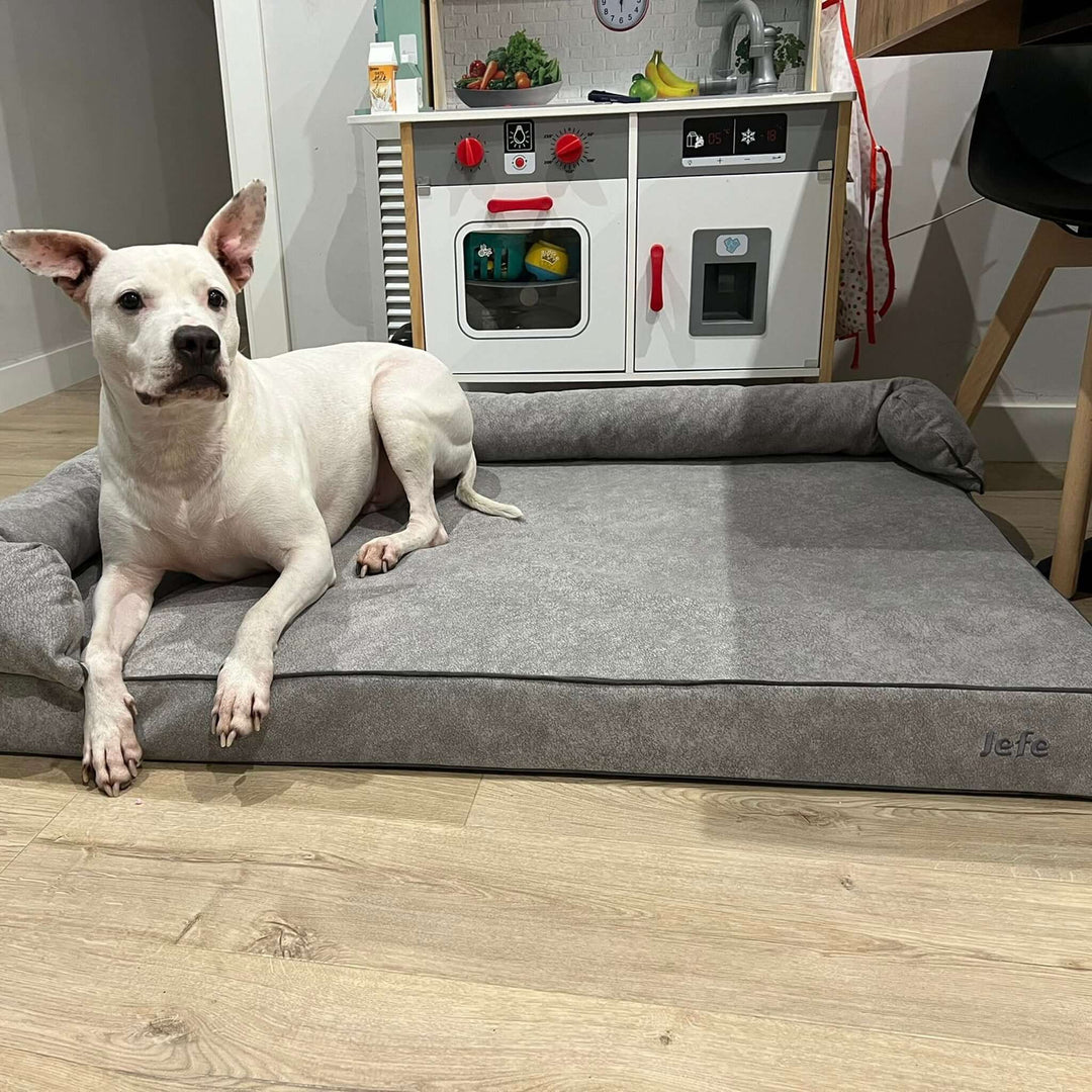 Cama viscoelástica para perros