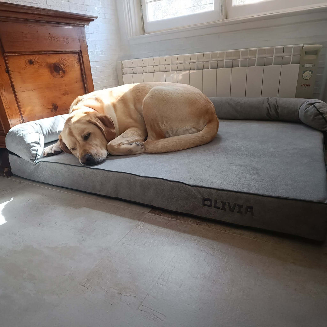 Cama viscoelástica para perros
