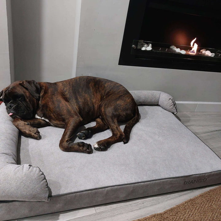 perro en cama viscoelástica para perros con su nombre bordado de baluka mascotas