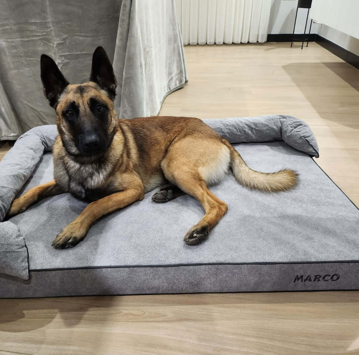 perro grande en cama viscoelástica para perros con su nombre bordado de baluka mascotas