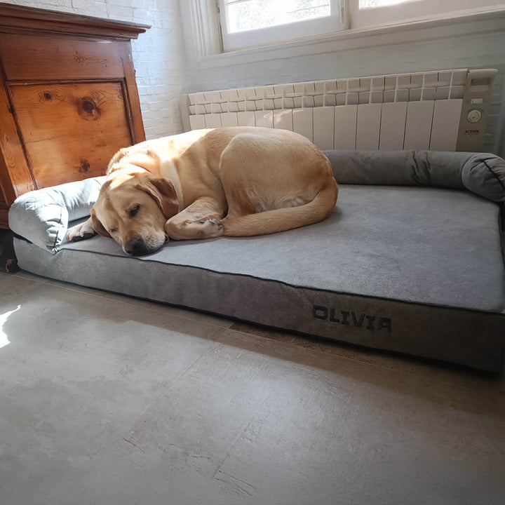 labrador en cama viscoelástica para perros con su nombre bordado