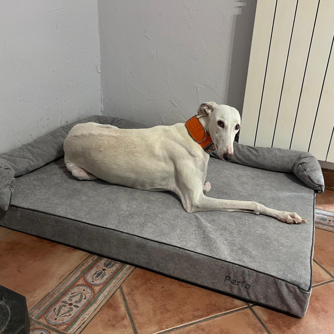 Cama viscoelástica para perro