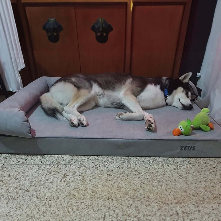 perro grande en cama viscoelástica para perros con su nombre bordado de baluka mascotas