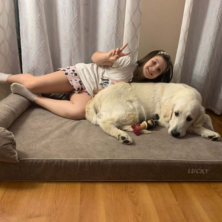 Cama viscoelástica para perros