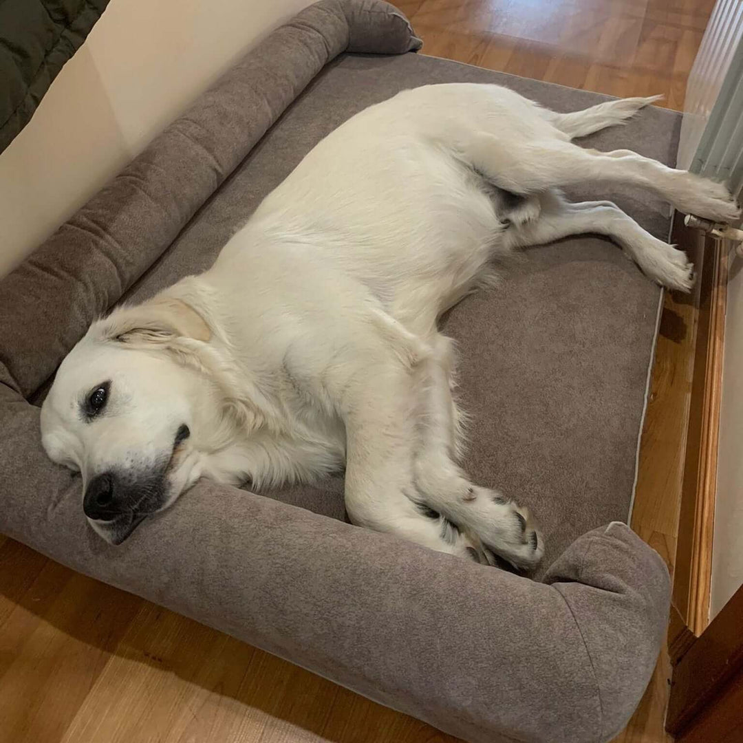 Cama viscoelástica para perros