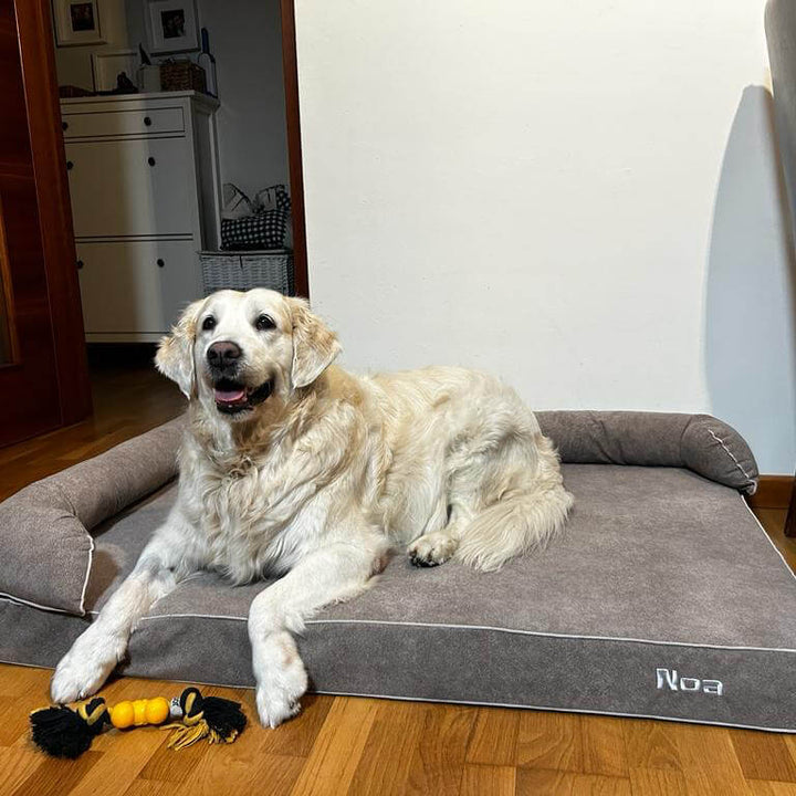 golden en cama viscoelástica para perros con su nombre bordado de baluka mascotas
