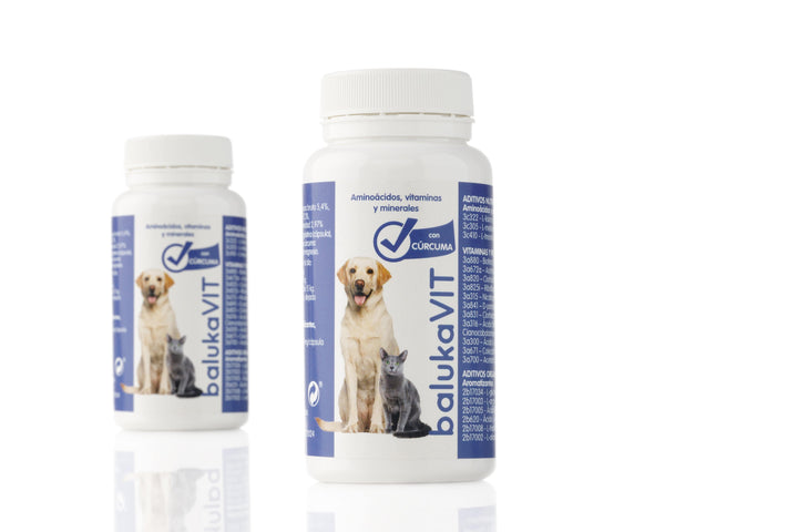 Antiinflamatorio para Perros con Cúrcuma OFERTA SEGUNDA UNIDAD 50% baluka mascotas