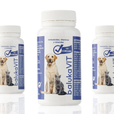 Antiinflamatorio para Perros con Cúrcuma OFERTA 3 x 2 baluka mascotas