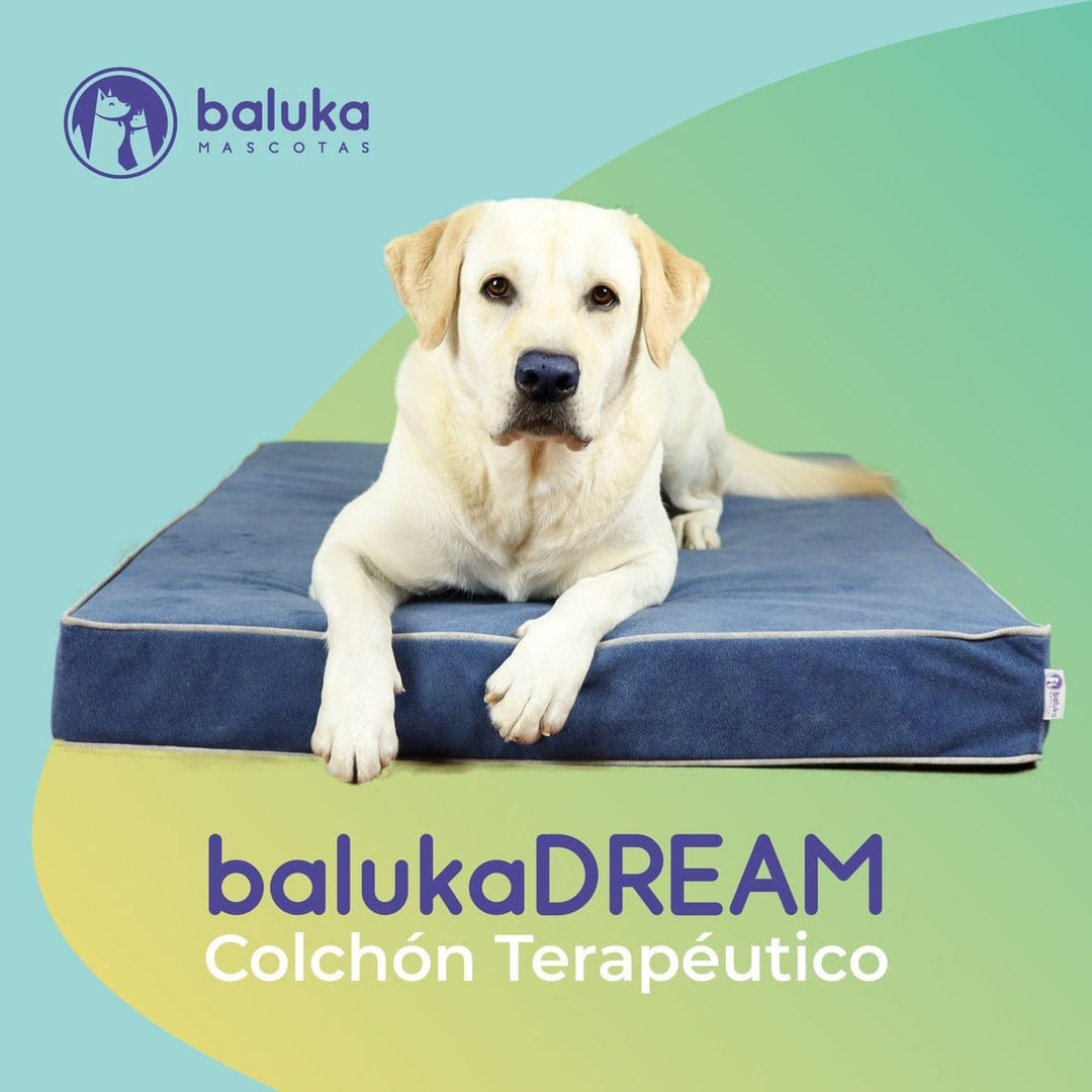 Colchón Viscoelástico para Perros baluka mascotas