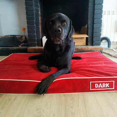 Colchón rojo en viscoelástica para perros grandes
