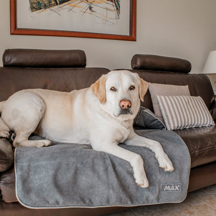 Protector de Sofá para Perros y Gatos baluka mascotas