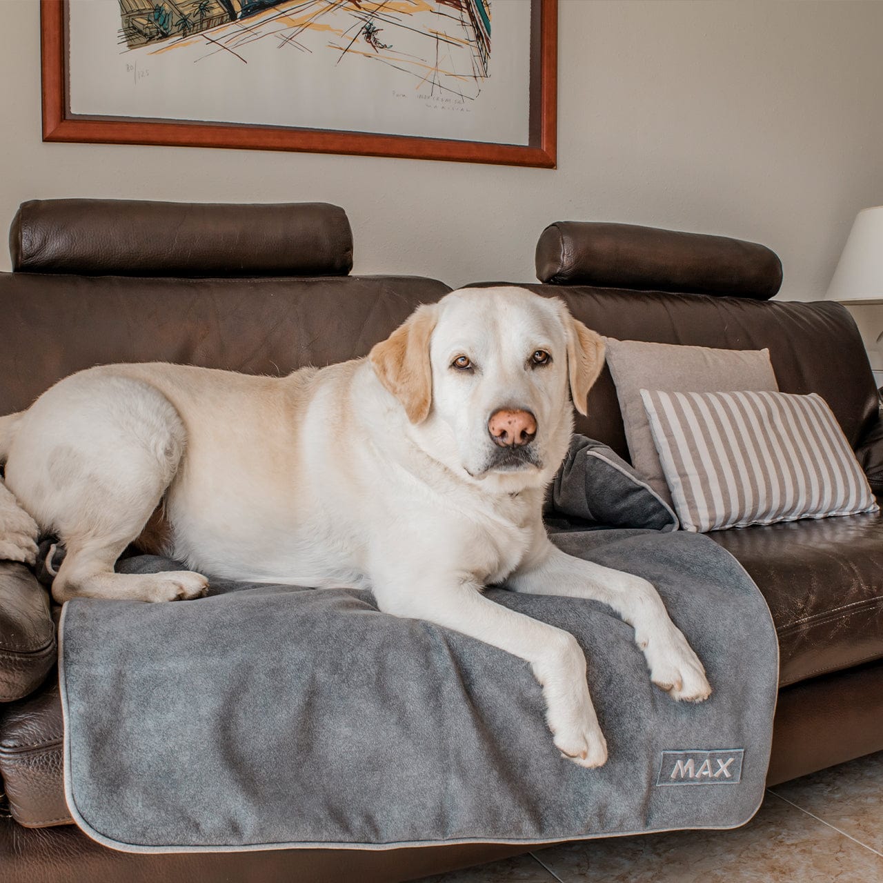 Protector de sofá antipelo para perros